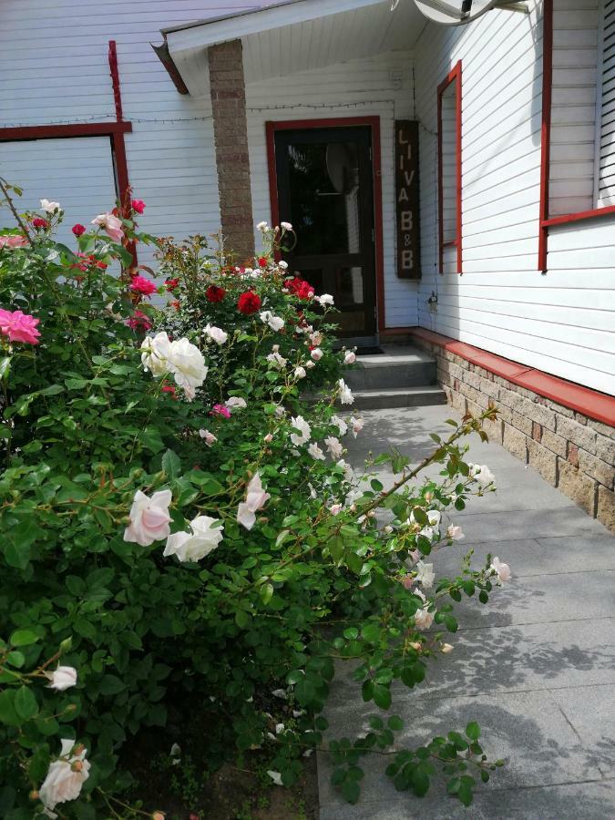 Liiva Guest Accommodation,Free Parking 타르투 외부 사진